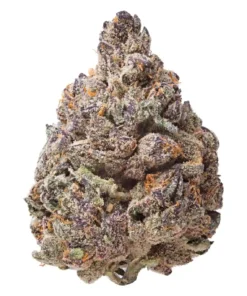 Red Rocks | Hybrid | 3.5