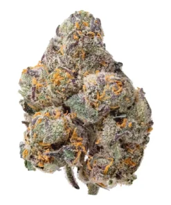 Rainbow Snowman | Hybrid | 3.5