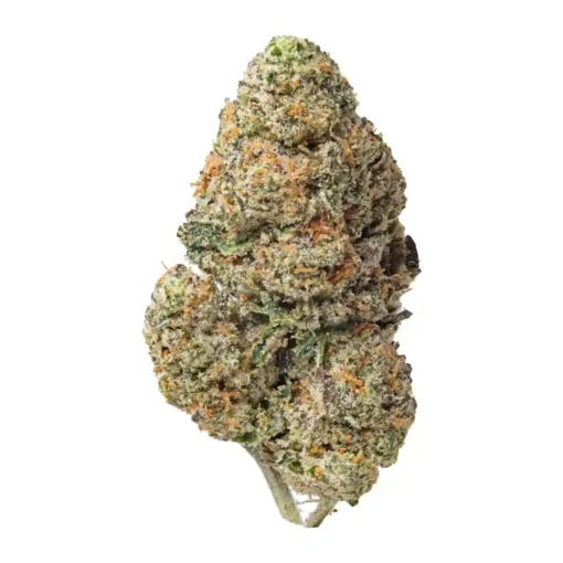 Space Runtz | Hybrid | 3.5