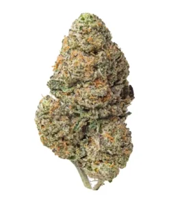 Space Runtz | Hybrid | Ounce