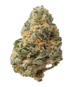 Jet Fuel Runtz | Hybrid | Ounce