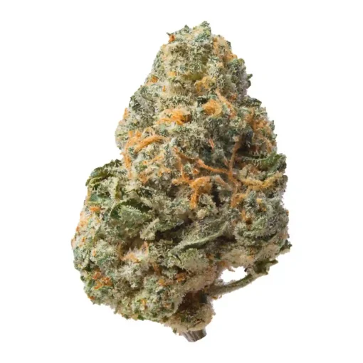 Jet Fuel Runtz | Hybrid | Ounce