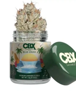 CBX | Blue Crush | Hybrid | 3.5g