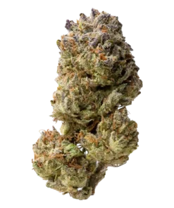 Biscotti | Indica Dominant | Ounce