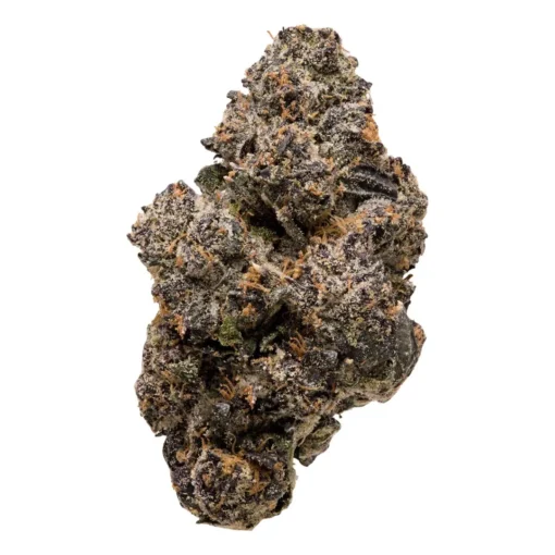 Baby Bottle Bop | Hybrid | 3.5