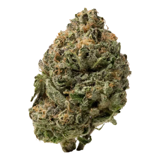 Black Cherry Gelato | Hybrid | ounce